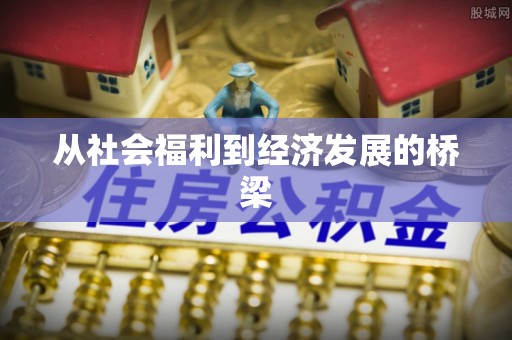 左贡从社会福利到经济发展的桥梁