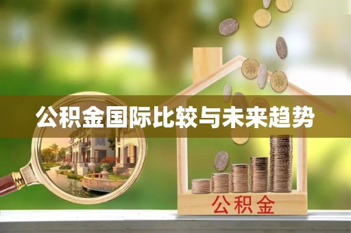 左贡公积金国际比较与未来趋势