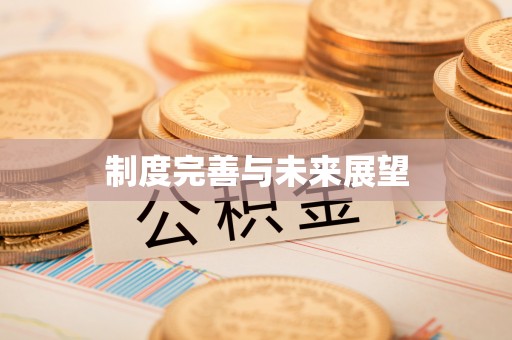 左贡制度完善与未来展望