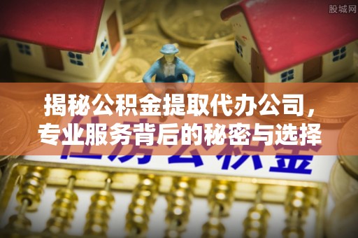 左贡揭秘公积金提取代办公司，专业服务背后的秘密与选择指南