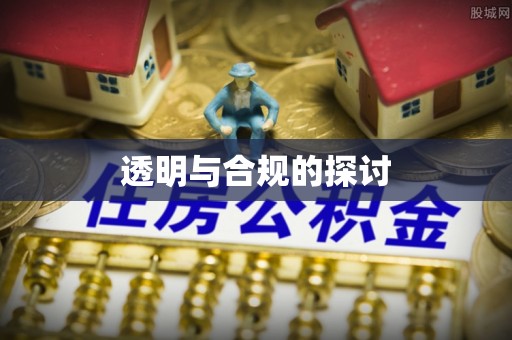 左贡透明与合规的探讨