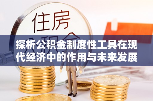 左贡探析公积金制度性工具在现代经济中的作用与未来发展趋势